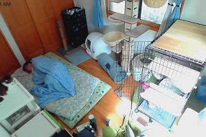 10時05分 ごろ