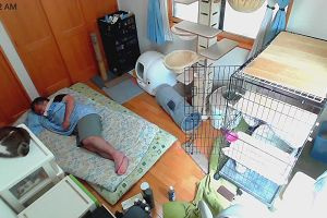 11時35分 ごろ