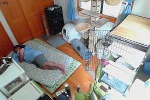 11時50分 ごろ