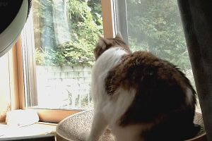 15時55分 ごろ