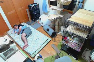 21時50分 ごろ