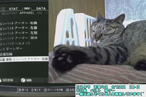 23時10分 ごろ