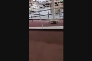 10時45分 ごろ