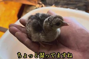 11時35分 ごろ
