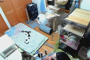 18時30分 ごろ