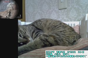 20時45分 ごろ