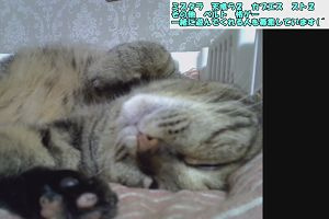 22時30分 ごろ