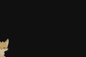 23時50分 ごろ