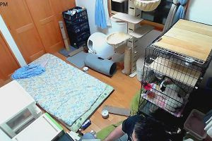 18時00分 ごろ