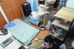 18時10分 ごろ