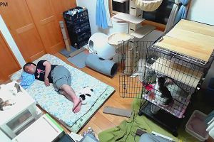 19時30分 ごろ