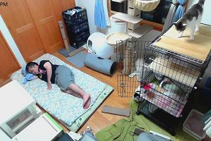 20時50分 ごろ