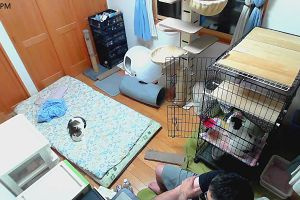 21時20分 ごろ