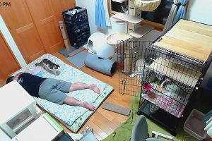 23時10分 ごろ
