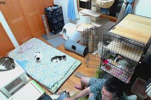 21時20分 ごろ