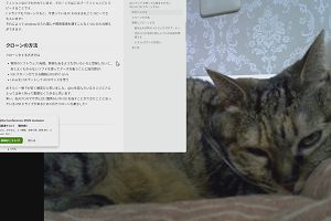 21時20分 ごろ