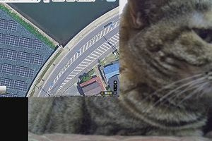 21時45分 ごろ