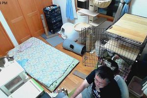 22時30分 ごろ