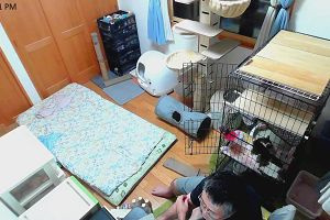 22時50分 ごろ