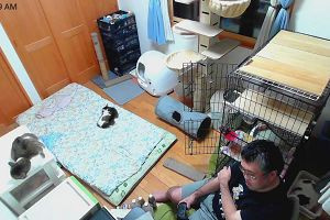 00時20分 ごろ