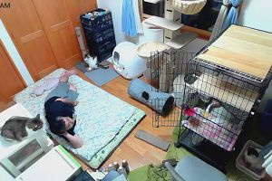 01時10分 ごろ