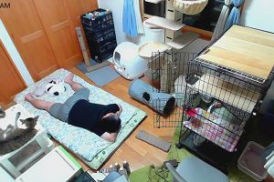 02時00分 ごろ