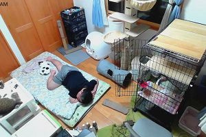 03時50分 ごろ