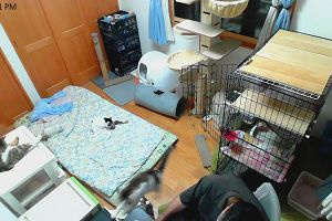 22時30分 ごろ