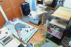 02時40分 ごろ