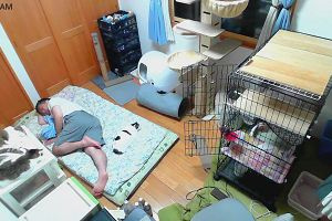 03時55分 ごろ