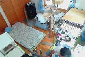 11時55分 ごろ