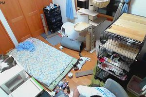 18時40分 ごろ