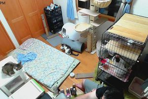 18時50分 ごろ