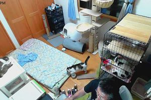 19時05分 ごろ