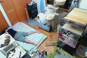 01時05分 ごろ