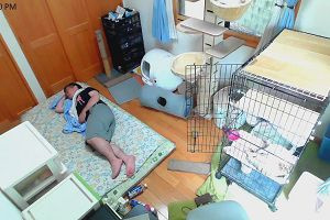 12時05分 ごろ