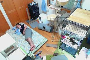 13時20分 ごろ