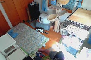 10時20分 ごろ