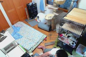 17時10分 ごろ