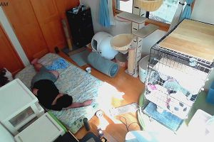 09時20分 ごろ