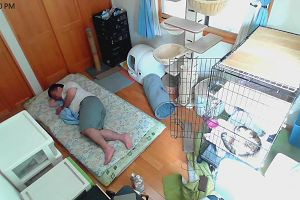 12時20分 ごろ