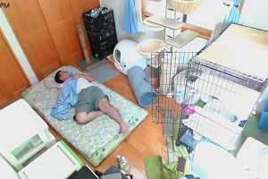 14時15分 ごろ