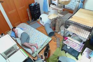 17時10分 ごろ