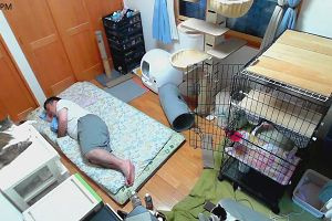 17時35分 ごろ