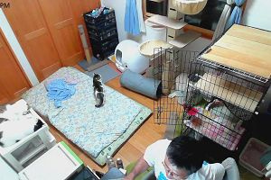 21時25分 ごろ