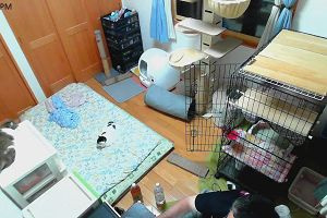 19時40分 ごろ