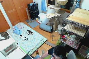 20時05分 ごろ