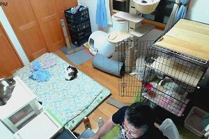 21時10分 ごろ