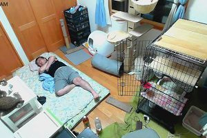 01時50分 ごろ