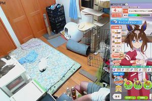 20時45分 ごろ